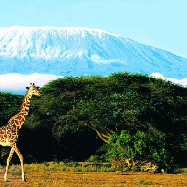 Erlebnis-Reisen Tansania, Kilimandscharo, Tansania